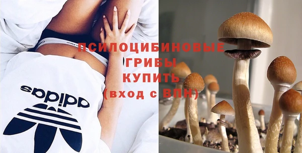 герыч Михайлов